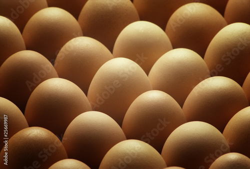 Country brown eggs lined up