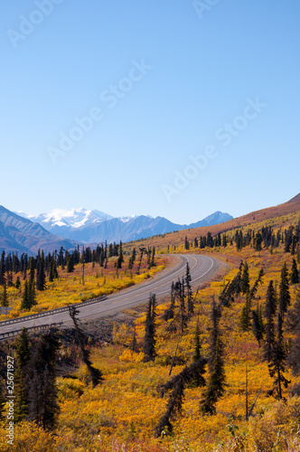 Fall Road Into Mountains Portrait