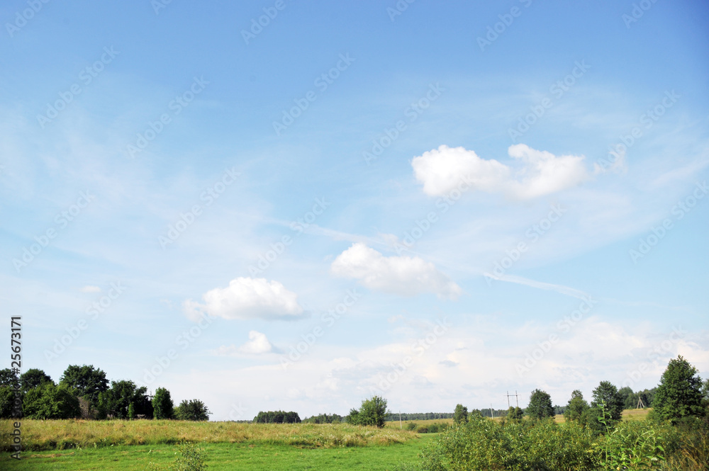 summer landscape summer landscape