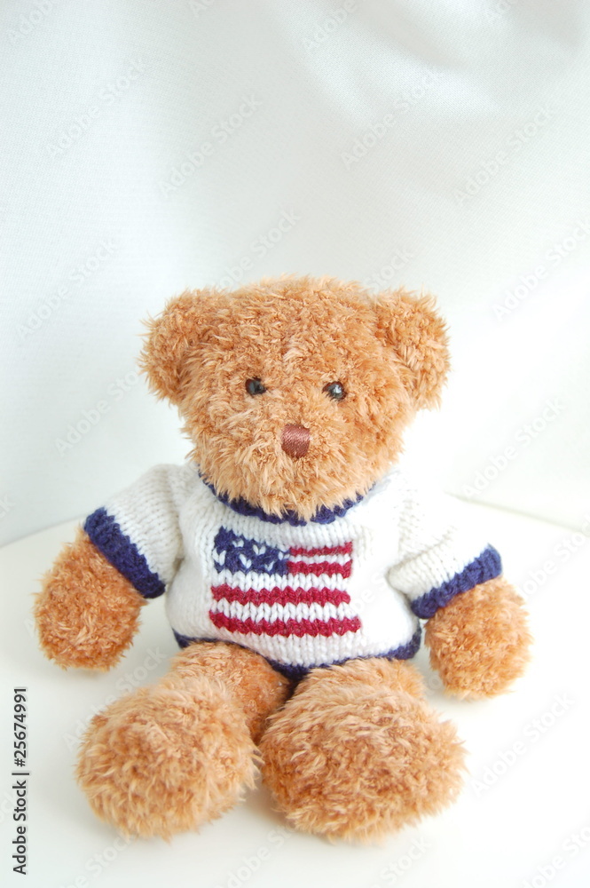 Obraz premium セーターを着たぬいぐるみのクマ
