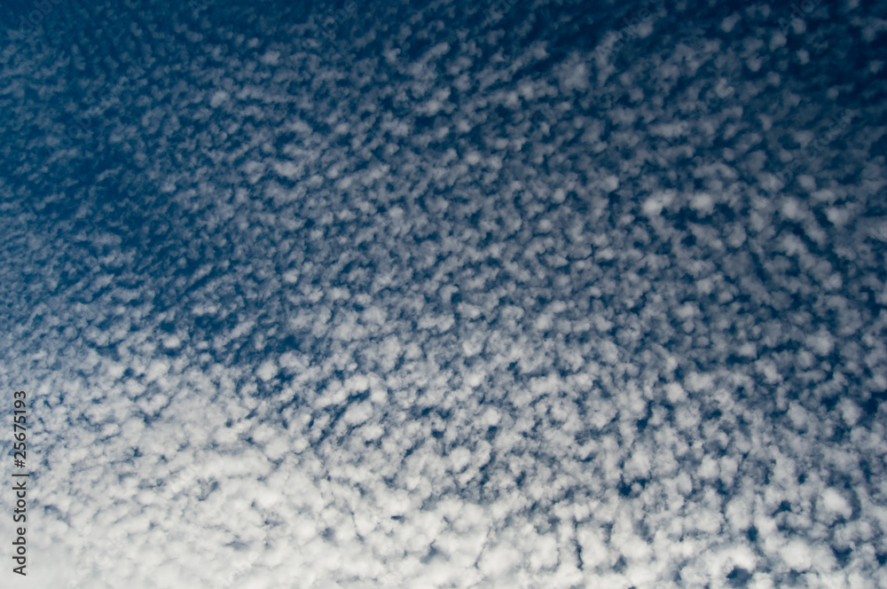 Obraz premium Altocumulus clouds