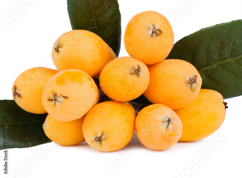 Group of loquat fruits isolated on white background