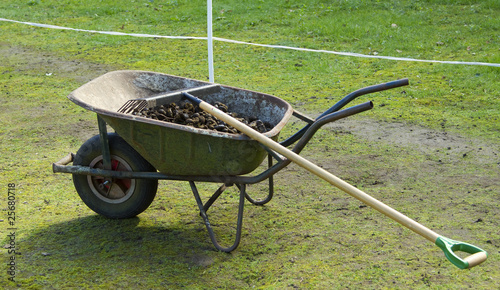 Wheelbarrow with manure