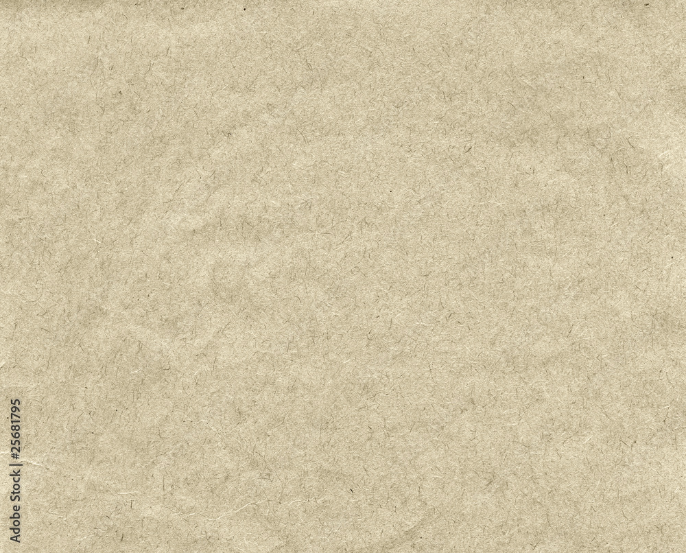 Fototapeta premium Recycled paper background
