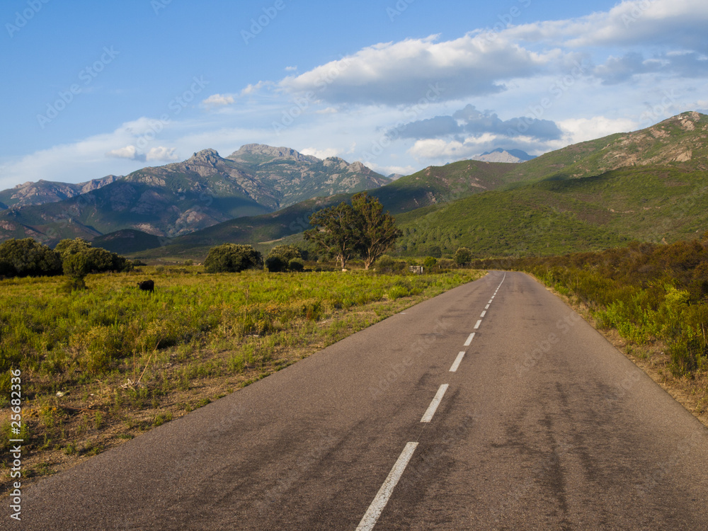 Naklejka premium OLYMPUS DIGITAL CAMERA