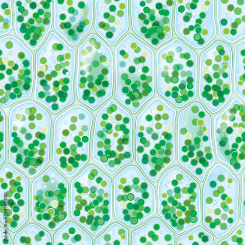 Chlorophyll Cells seamless pattern