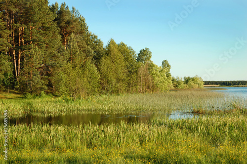 Beautiful lake view