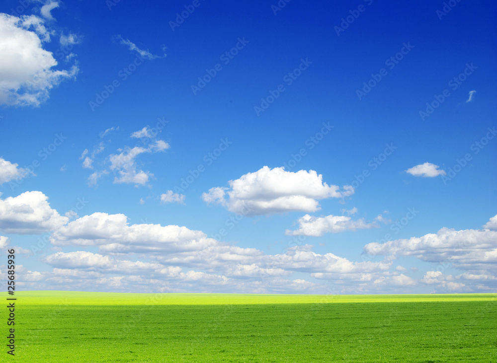field field