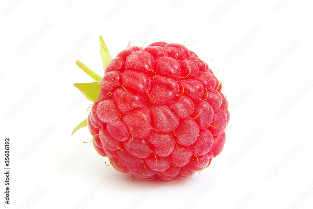 raspberry raspberry