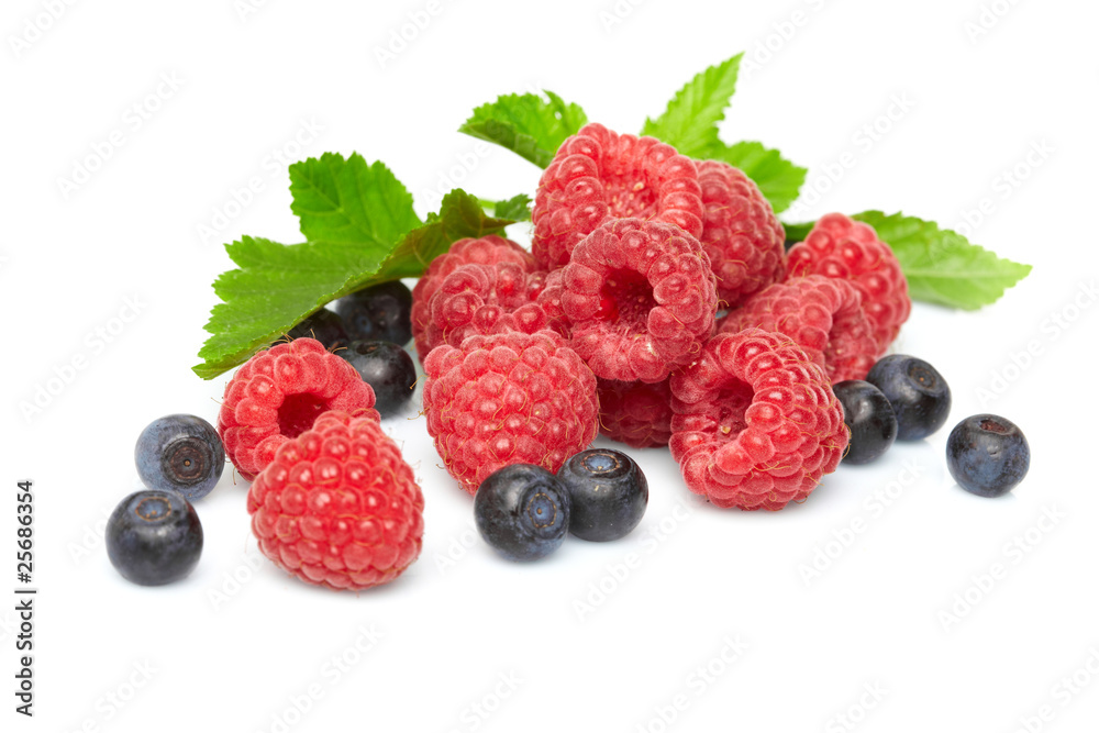 berries on white background berries on white background