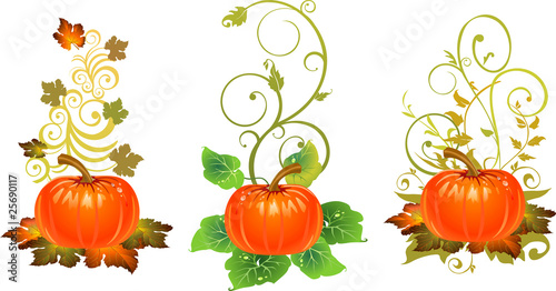 Set tre zucche