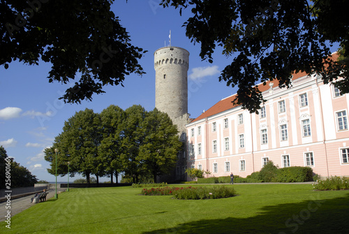 Tall Hermann and Estonian Parliament building in Tallinn photo