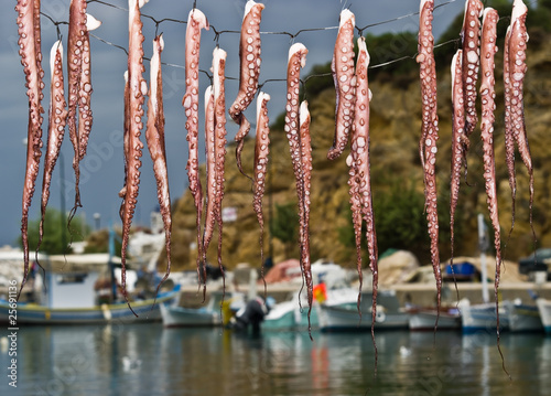 Drying octopus