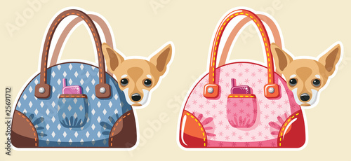dogs in bags