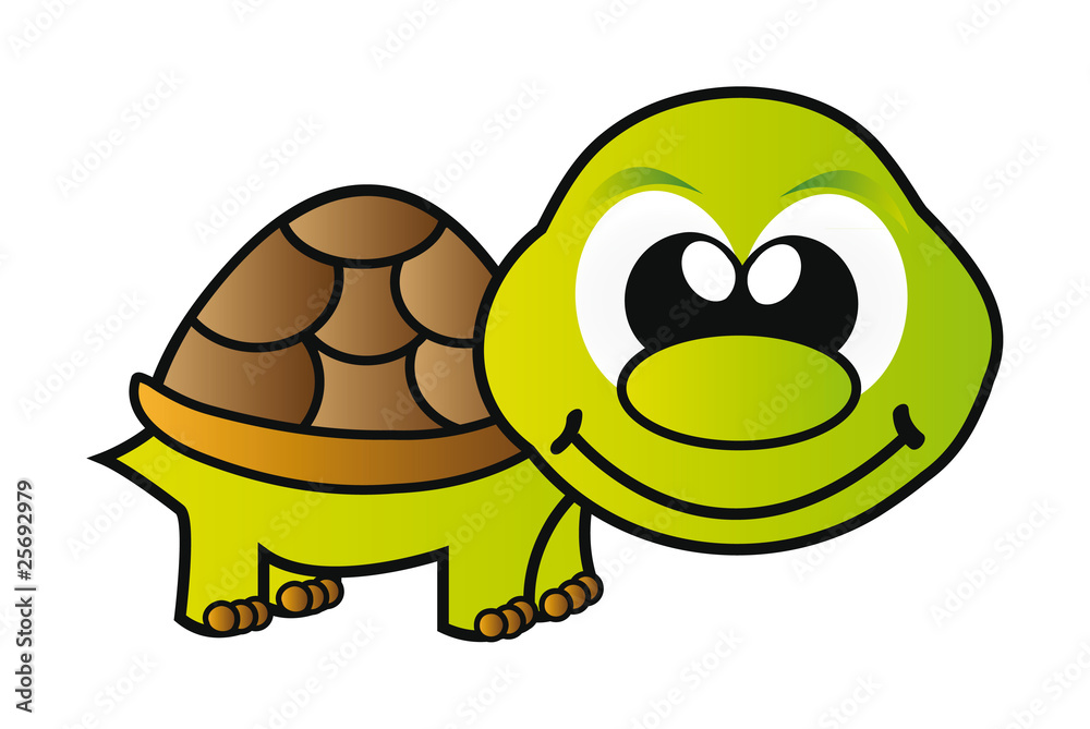 Naklejka premium vector turtle isolated on white