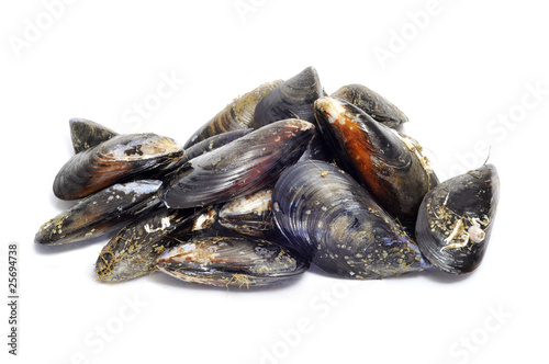 Konstfotografi mussels