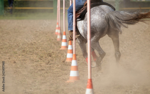 Horse race: Pole bending
