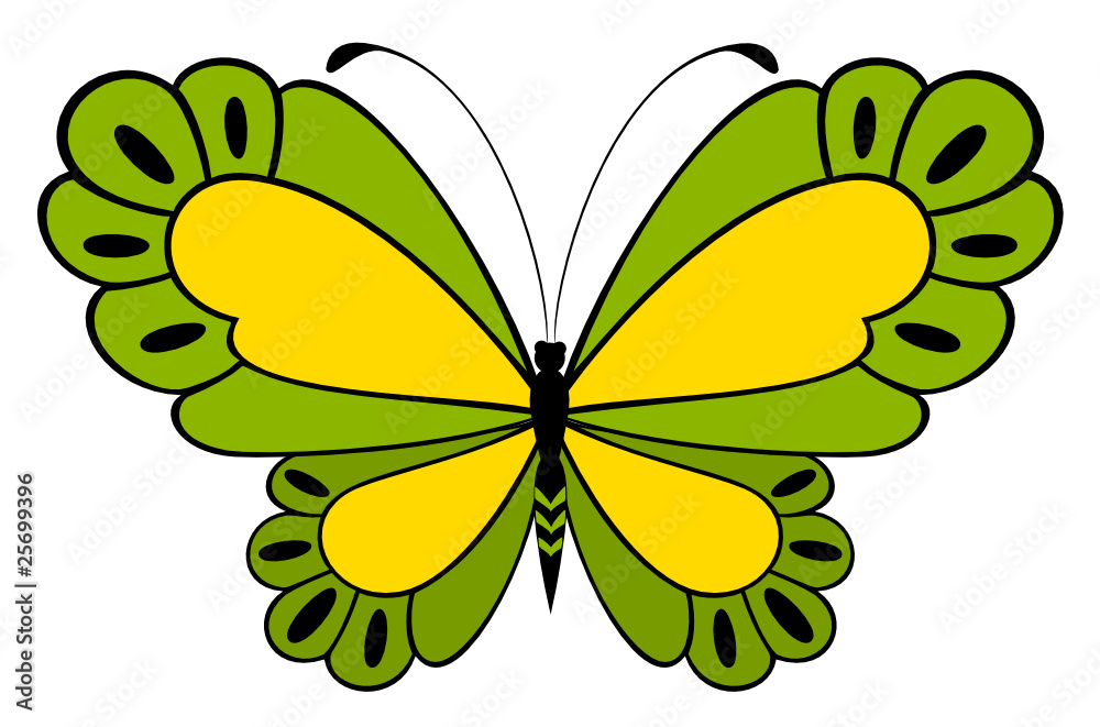 The beautiful butterfly The beautiful butterfly