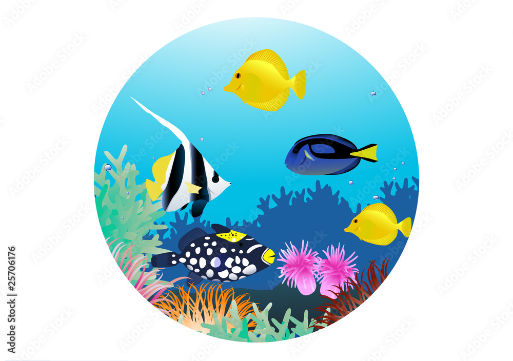 Sea life Sea life