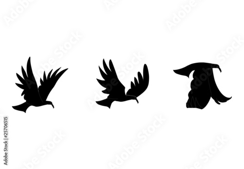 Vector illustration of bird silhouette
