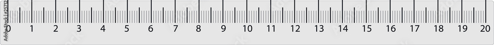 Lineal Lineal