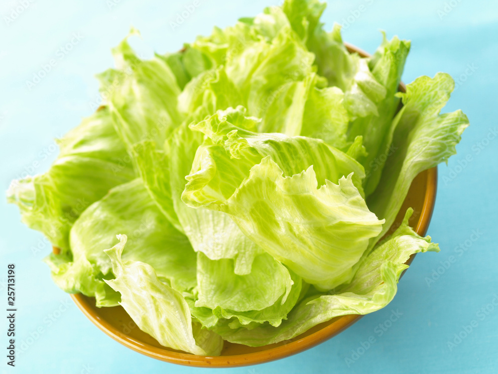 iceberg lettuce