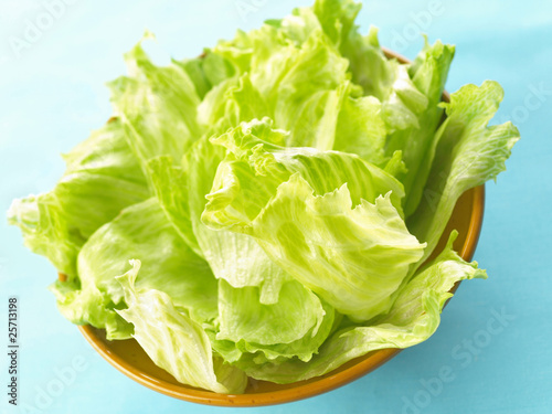 Obraz na płótnie iceberg lettuce w salonie