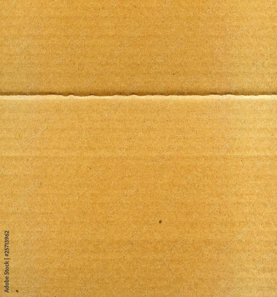 Fototapeta premium Cardboard background