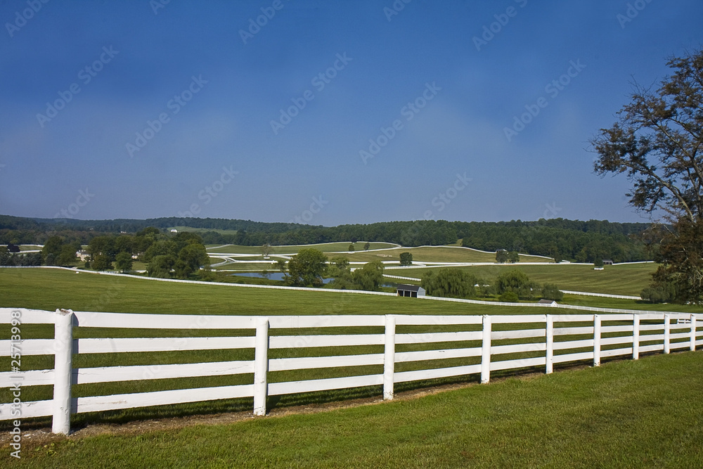 Horse Country with Fence
