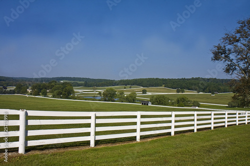 Horse Country with Fence