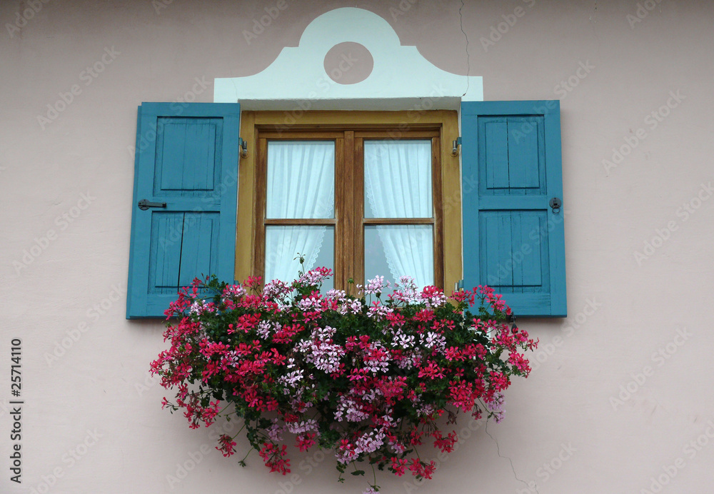 Fensterläden mit Blumen