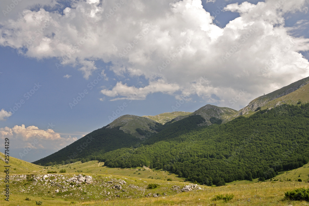 Galicica mountain