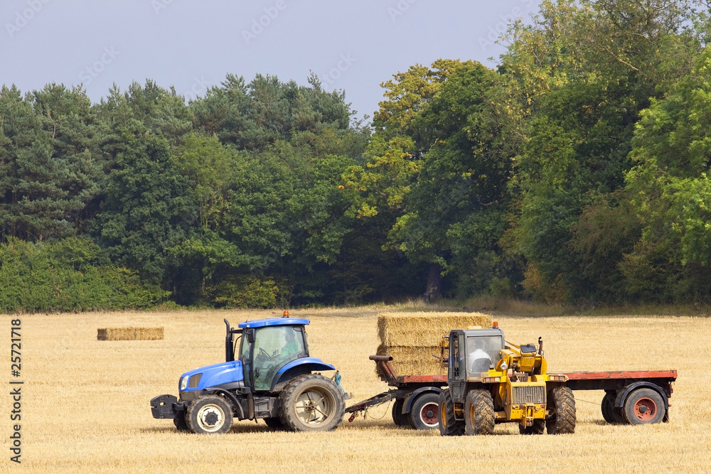 Fototapeta premium collecting straw bales