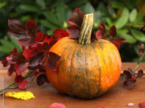 Pumpkin and  leaves