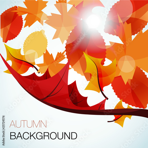 Tableau sur toile abstract autumn vector background