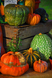 portirons - légumes de saison - automne - halloween