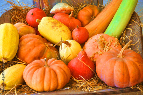 potirons et légumes de saison - automne - halloween