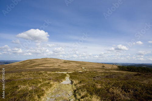 Landscape since the top of a hill