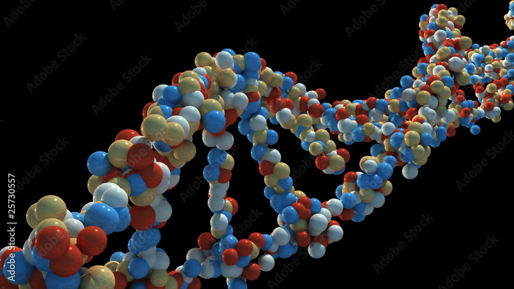 dna 05