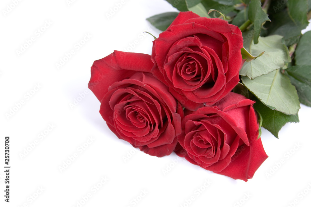 Beautiful bouquet of roses Beautiful bouquet of roses