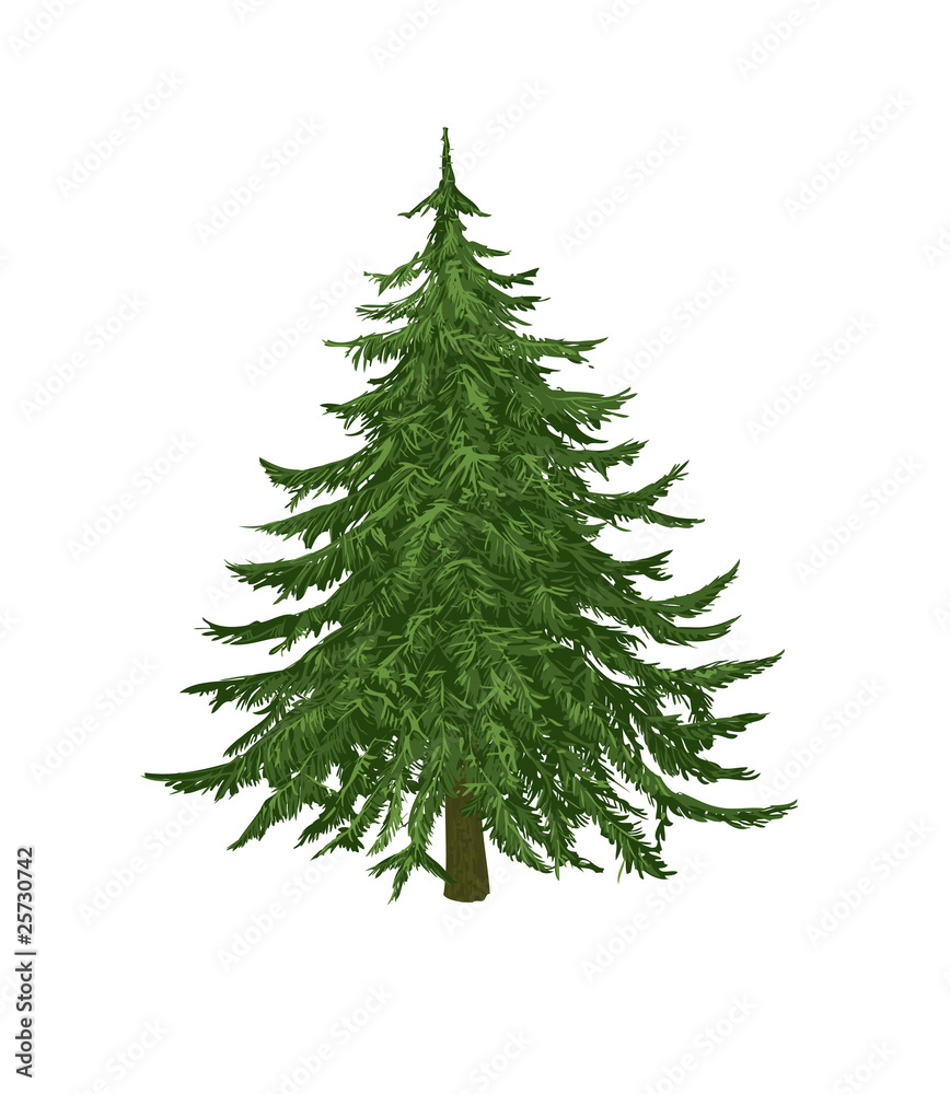 christmas tree christmas tree
