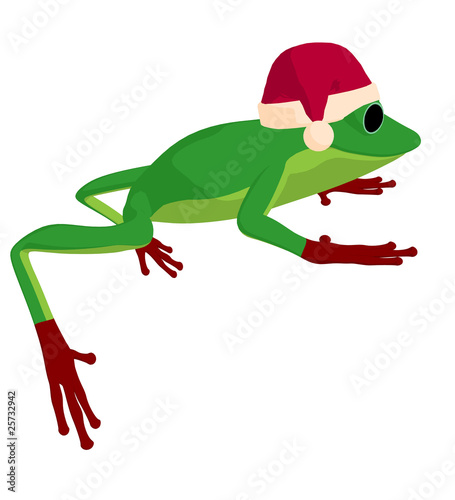 Frog Art Illustration