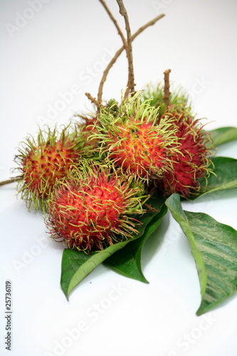 rambutan fruit,thailand
