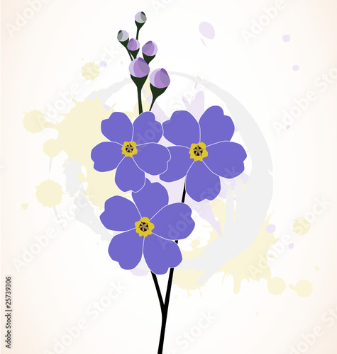 Ilustration of the beautiful forget-me-not flowers