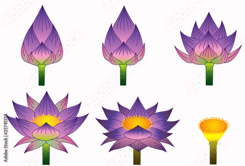 Foto Thai purple lotus style
