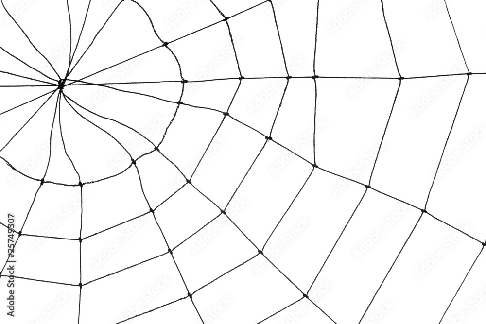 Obraz premium Spider Web