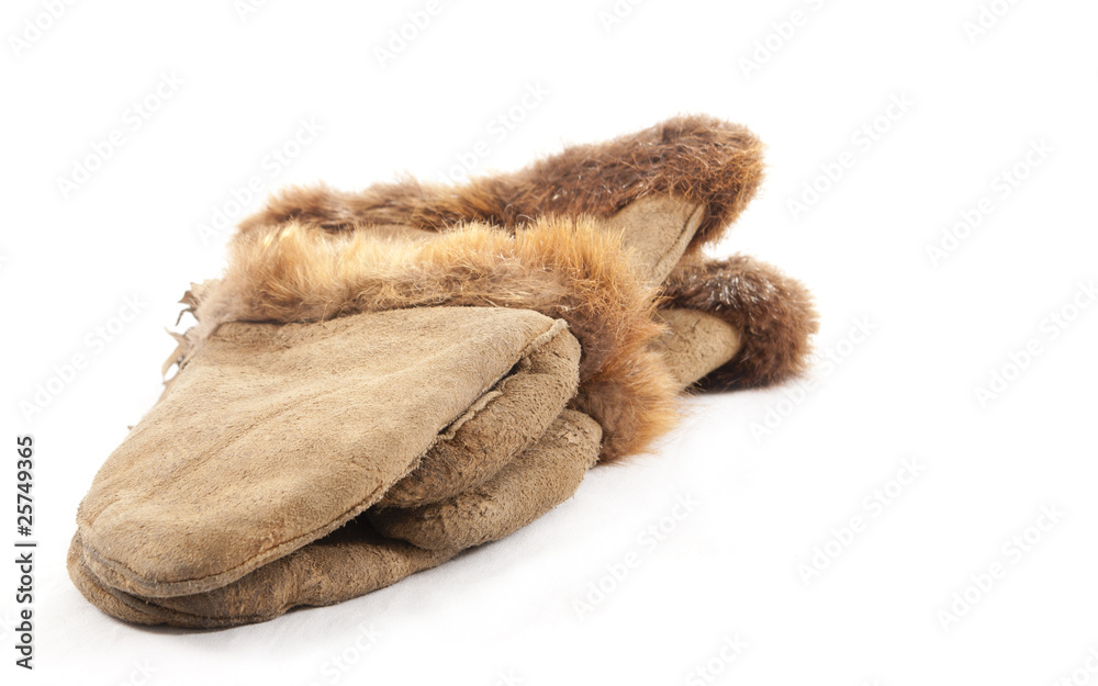 Obraz premium Hide mitts