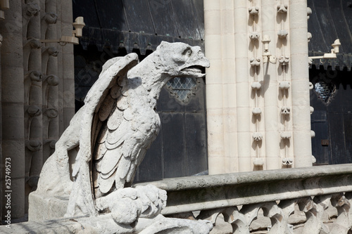 Notre Dame of Paris: Chimera (dragonfly) in the balcony