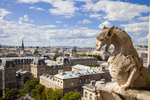 Notre Dame: Chimera (dragon) overlooking the skyline of Paris © Jose Ignacio Soto
