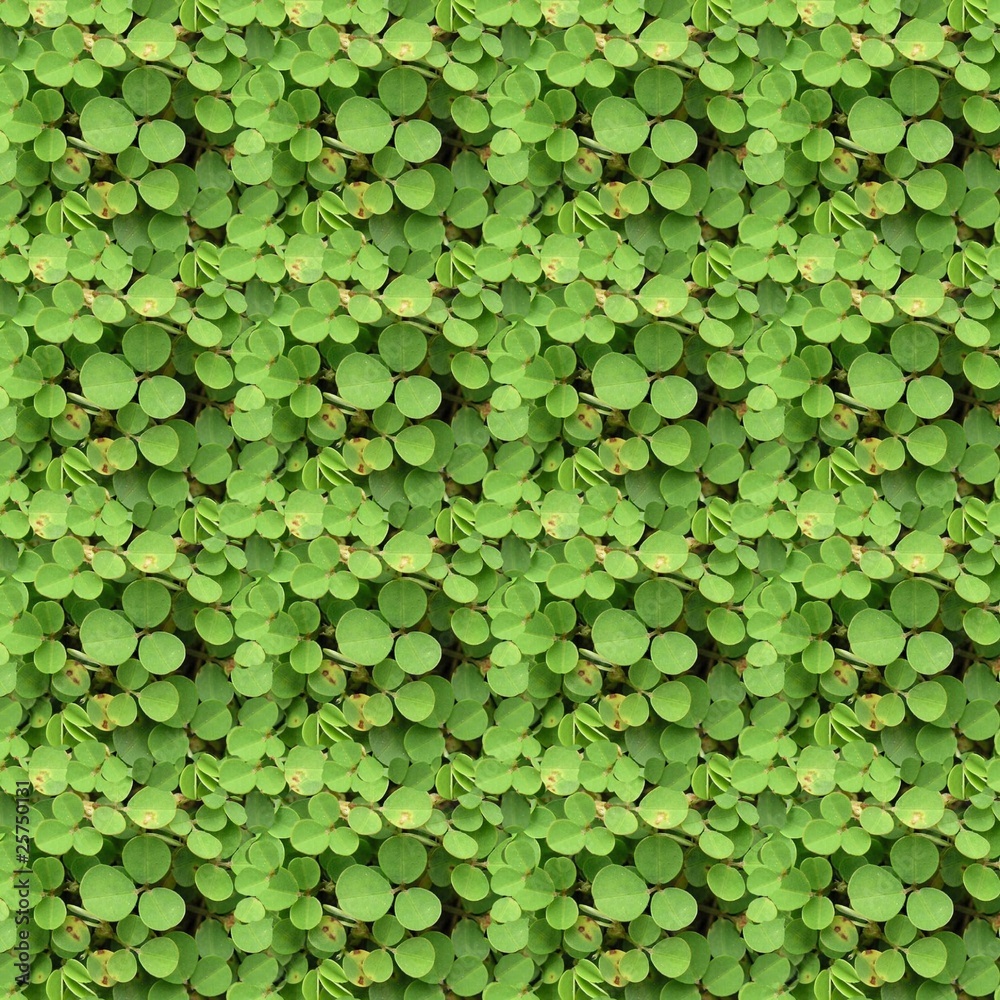 greens greens